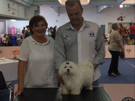 Don Giovanni rockt die IHA Klagenfurt 2017