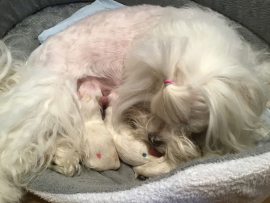 Der P - Wurf ist da!