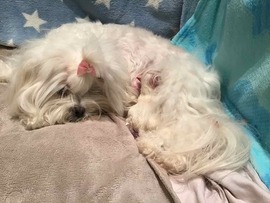 Der A - Wurf ist da!