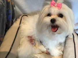 Der B - Wurf ist da!