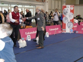 IHA Tulln 2015 - Dior Jugendsieger!