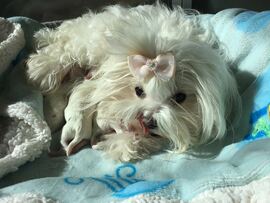 Der J - Wurf ist da!