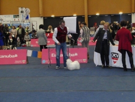 Jack in IHA Wels 2015