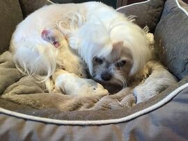 Der L - Wurf ist da!