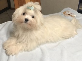 Winston 6 Monate alt