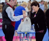 Eurodogshow_23.jpg