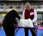 Eurodogshow_26.jpg